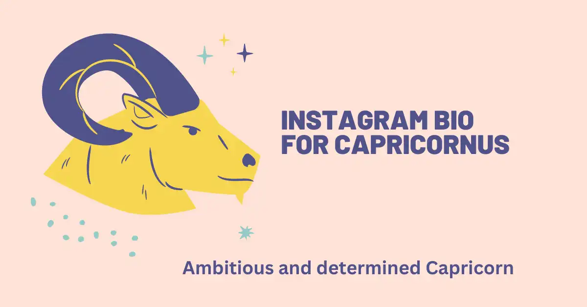 Capricornus Instagram Bio