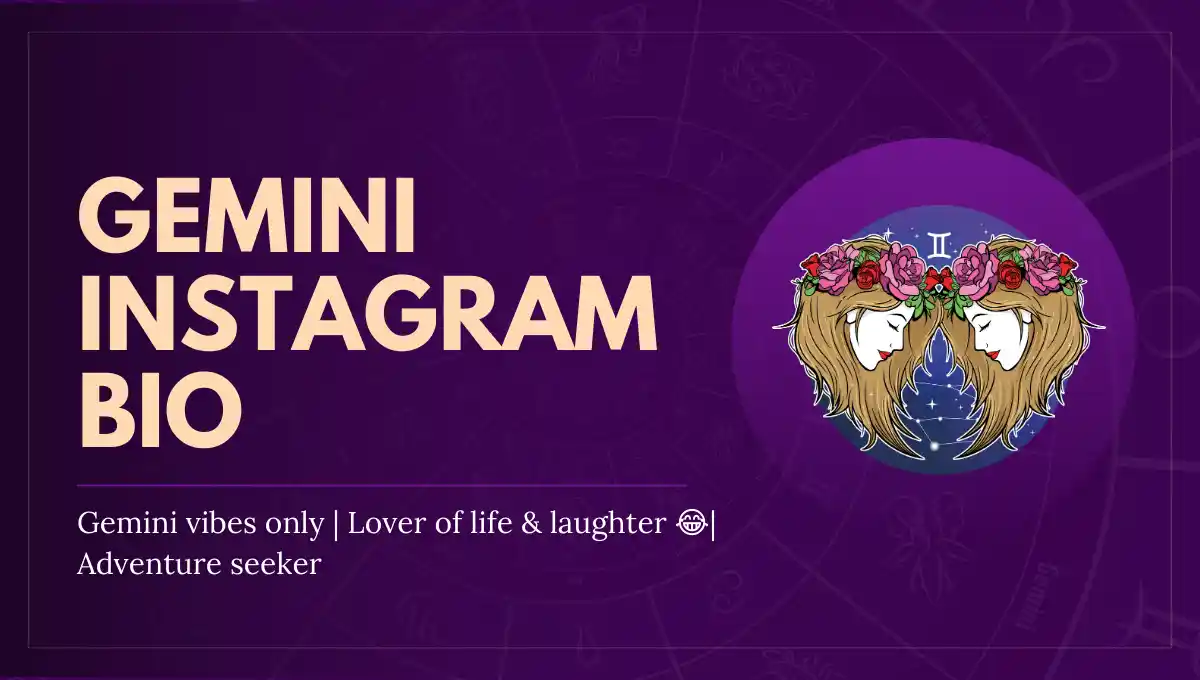 Instagram Bio for Gemini